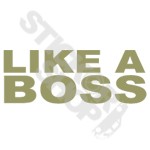 Like A Boss