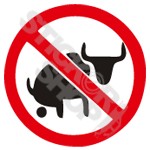 No Bull Shit