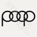 Audi Poop