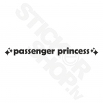 Passenger Princess V2