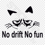 No Drift No Fun