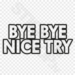 Bye Bye Nice Try