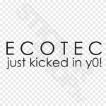 Ecotec Just Kicked In You