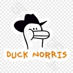 Duck Norris