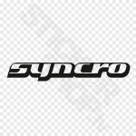 Syncro VW Volkswagen