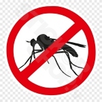 No More Mosquito