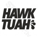 Hawk Tuah