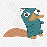 JDM Duck