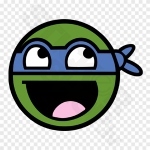 Turtle Ninja Face