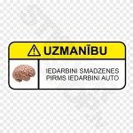 Iedarbini Smadzenes Pirms Iedarbini Auto