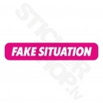 Fake Situation